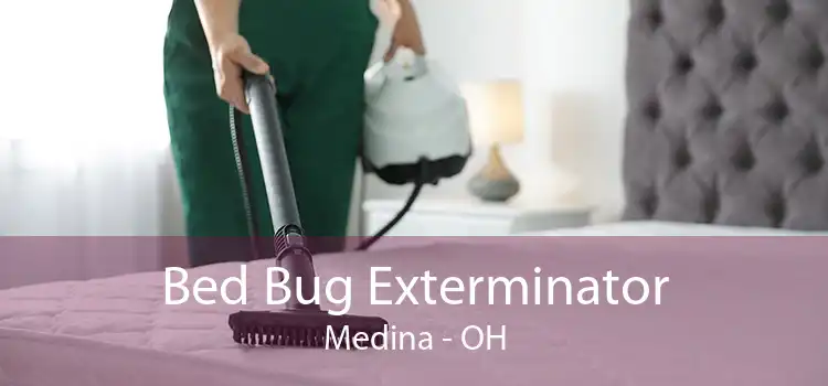 Bed Bug Exterminator Medina - OH