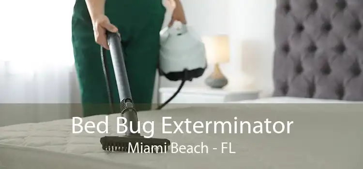 Bed Bug Exterminator Miami Beach - FL