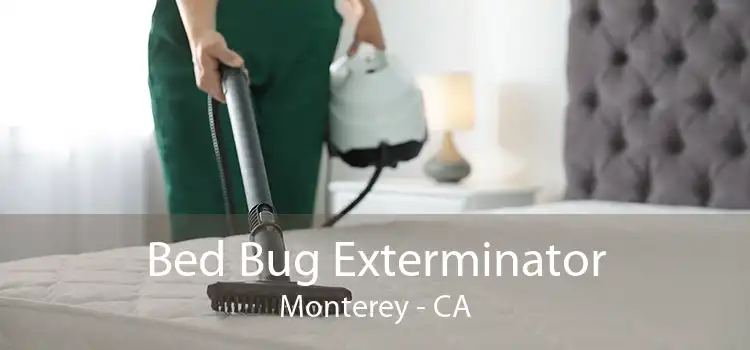 Bed Bug Exterminator Monterey - CA