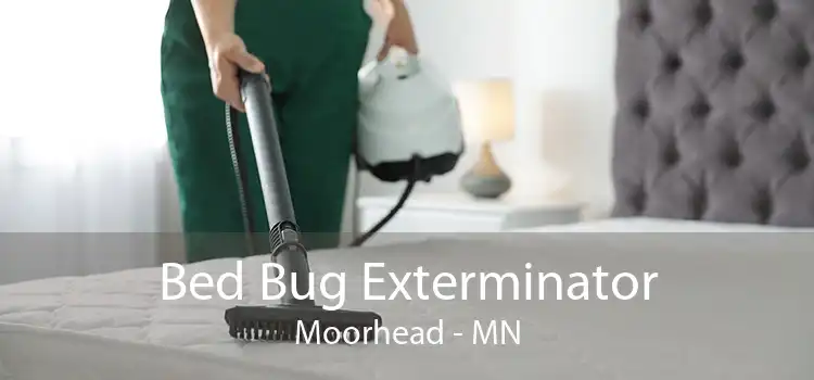 Bed Bug Exterminator Moorhead - MN