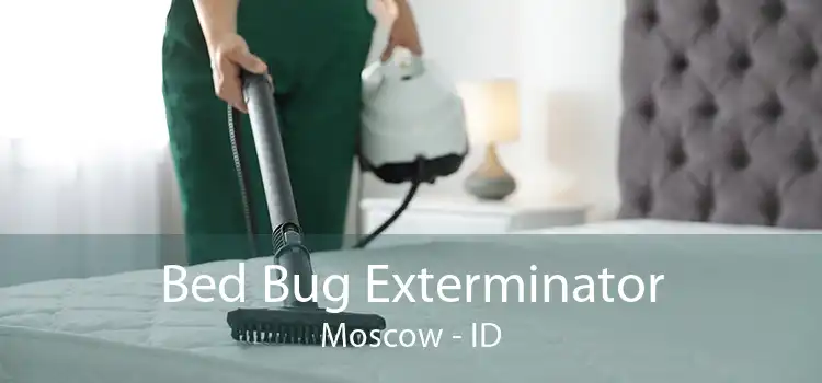 Bed Bug Exterminator Moscow - ID