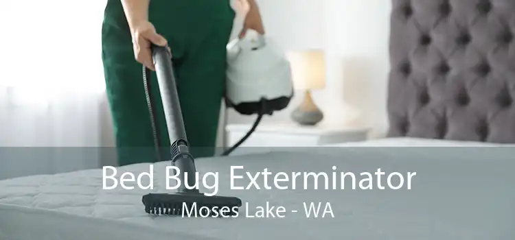 Bed Bug Exterminator Moses Lake - WA