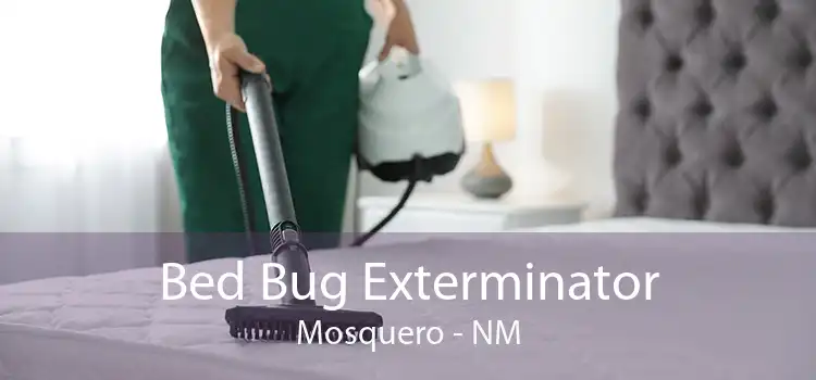 Bed Bug Exterminator Mosquero - NM