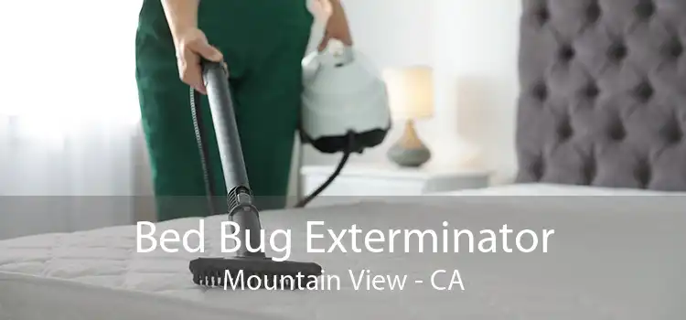 Bed Bug Exterminator Mountain View - CA