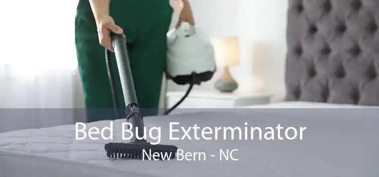 Bed Bug Exterminator New Bern - NC