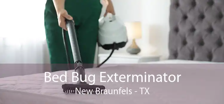 Bed Bug Exterminator New Braunfels - TX