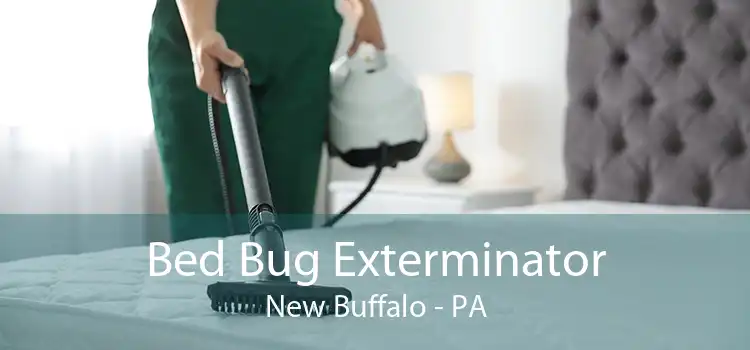 Bed Bug Exterminator New Buffalo - PA