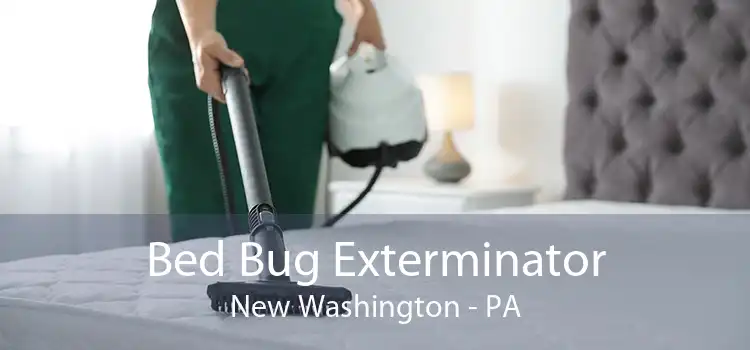 Bed Bug Exterminator New Washington - PA