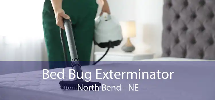 Bed Bug Exterminator North Bend - NE