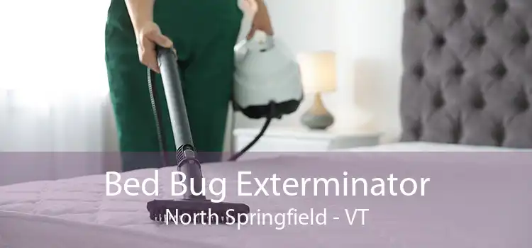 Bed Bug Exterminator North Springfield - VT