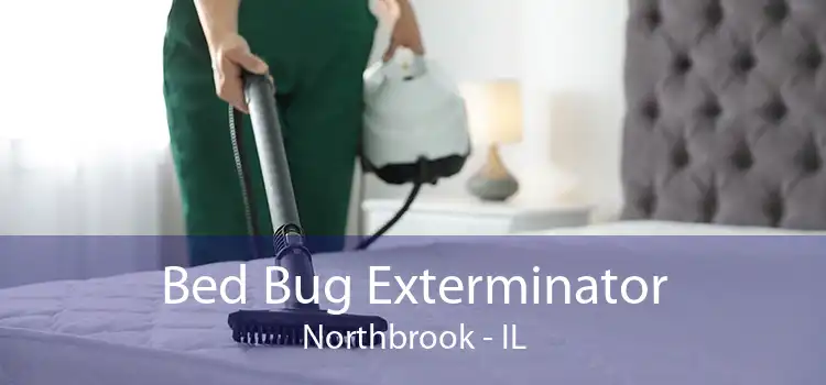 Bed Bug Exterminator Northbrook - IL