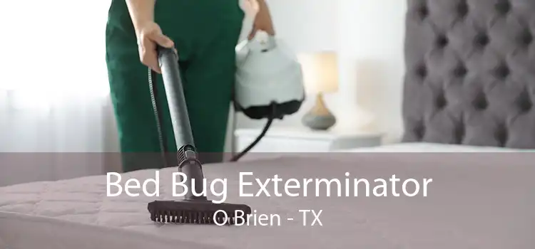 Bed Bug Exterminator O Brien - TX