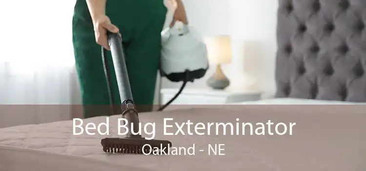 Bed Bug Exterminator Oakland - NE