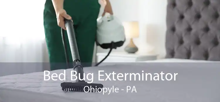 Bed Bug Exterminator Ohiopyle - PA