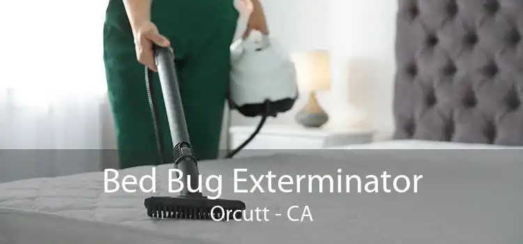 Bed Bug Exterminator Orcutt - CA