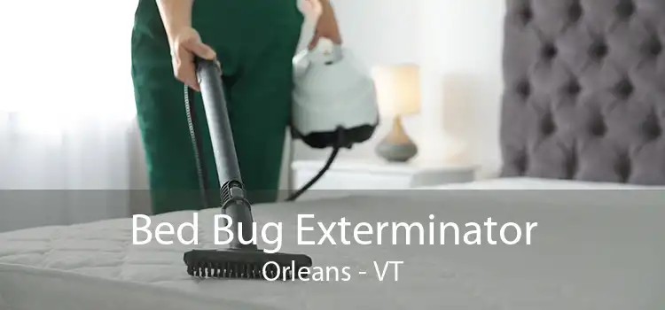 Bed Bug Exterminator Orleans - VT