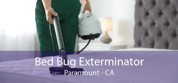 Bed Bug Exterminator Paramount - CA