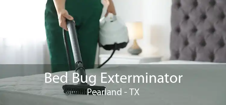 Bed Bug Exterminator Pearland - TX