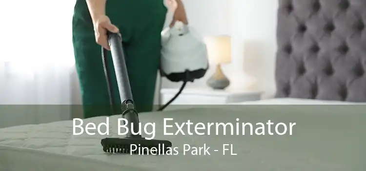 Bed Bug Exterminator Pinellas Park - FL