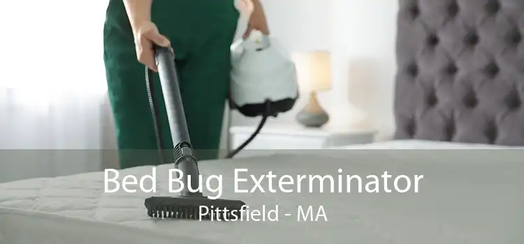 Bed Bug Exterminator Pittsfield - MA