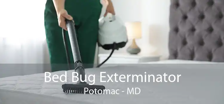 Bed Bug Exterminator Potomac - MD