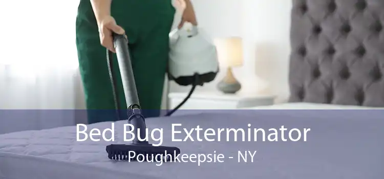 Bed Bug Exterminator Poughkeepsie - NY