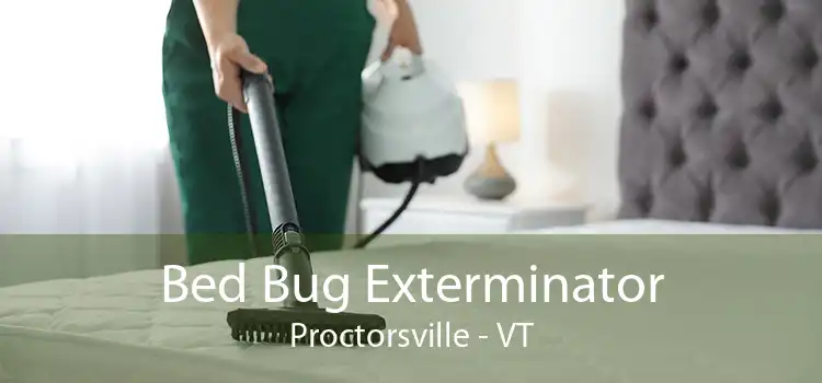 Bed Bug Exterminator Proctorsville - VT