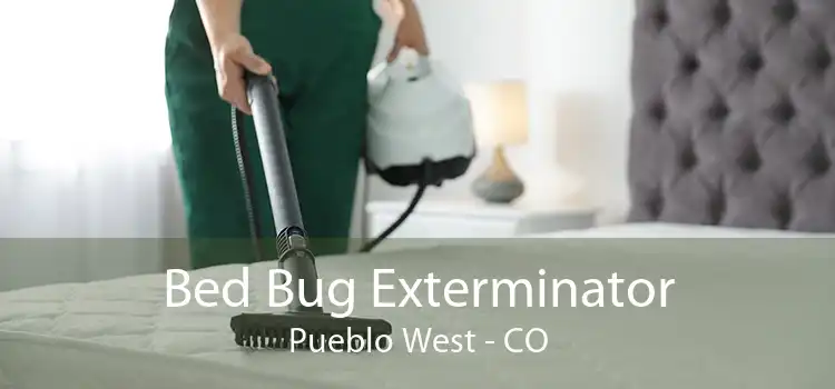 Bed Bug Exterminator Pueblo West - CO