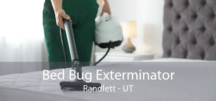 Bed Bug Exterminator Randlett - UT