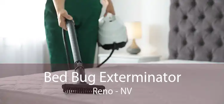 Bed Bug Exterminator Reno - NV