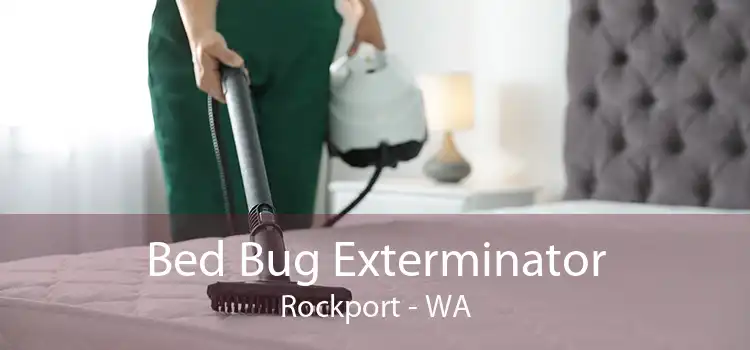 Bed Bug Exterminator Rockport - WA