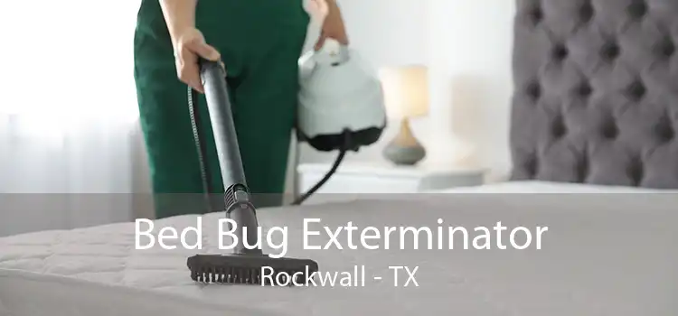 Bed Bug Exterminator Rockwall - TX