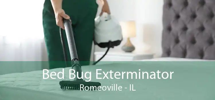 Bed Bug Exterminator Romeoville - IL