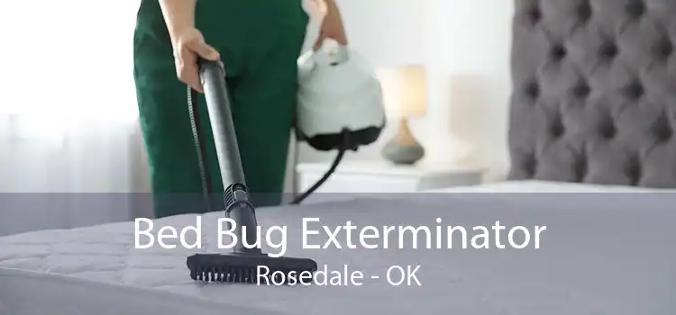 Bed Bug Exterminator Rosedale - OK