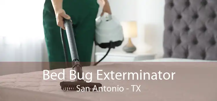 Bed Bug Exterminator San Antonio - TX