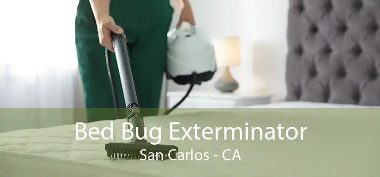 Bed Bug Exterminator San Carlos - CA