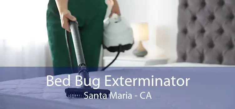 Bed Bug Exterminator Santa Maria - CA