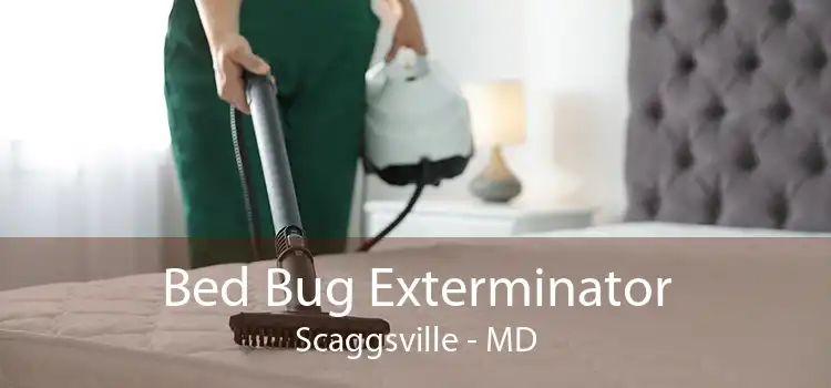 Bed Bug Exterminator Scaggsville - MD