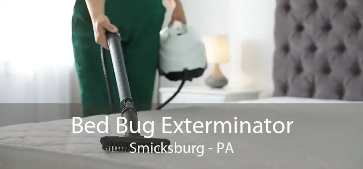 Bed Bug Exterminator Smicksburg - PA