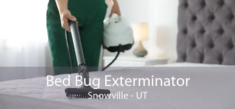 Bed Bug Exterminator Snowville - UT