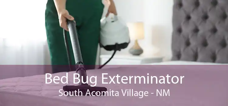 Bed Bug Exterminator South Acomita Village - NM