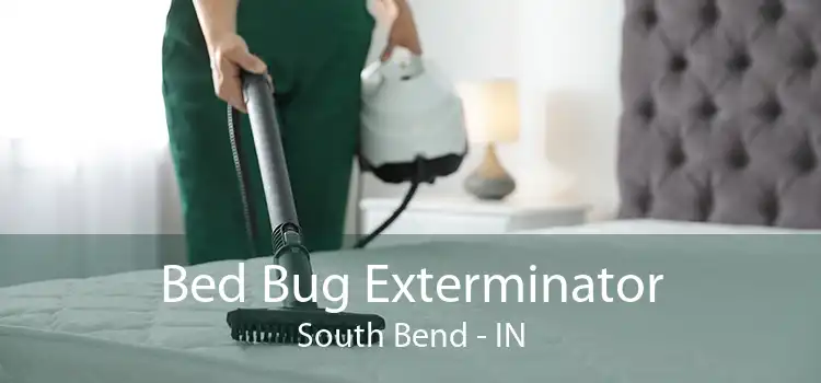 Bed Bug Exterminator South Bend - IN