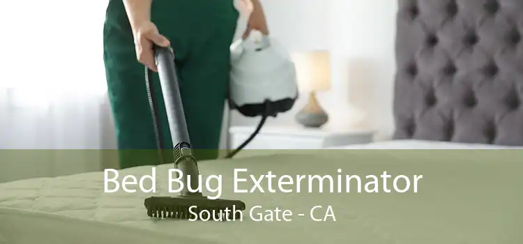 Bed Bug Exterminator South Gate - CA