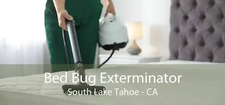 Bed Bug Exterminator South Lake Tahoe - CA