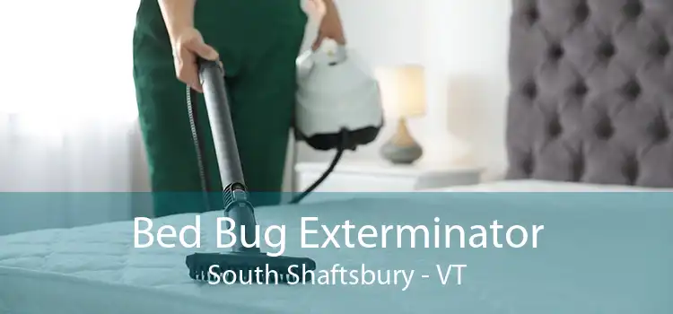 Bed Bug Exterminator South Shaftsbury - VT