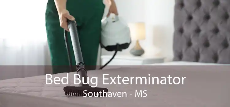 Bed Bug Exterminator Southaven - MS