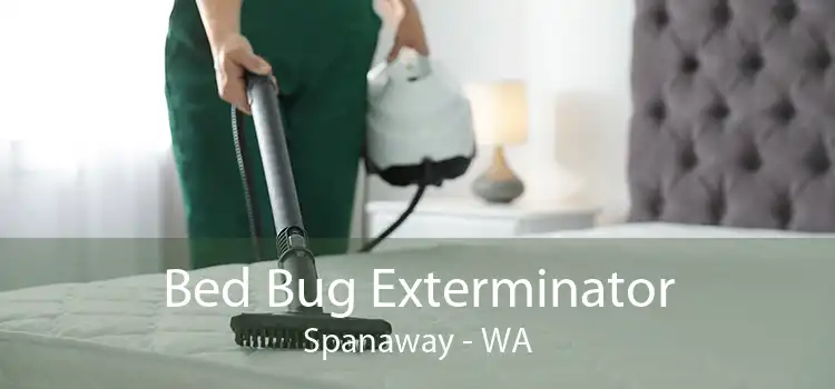 Bed Bug Exterminator Spanaway - WA