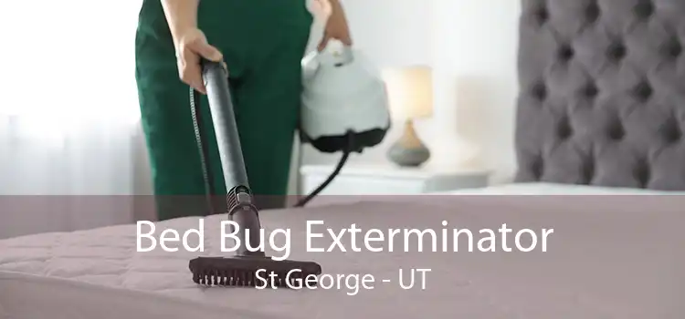 Bed Bug Exterminator St George - UT