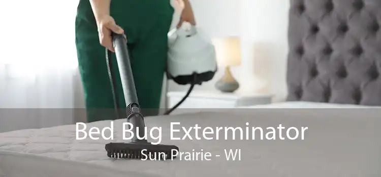 Bed Bug Exterminator Sun Prairie - WI