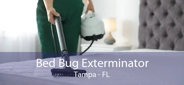 Bed Bug Exterminator Tampa - FL